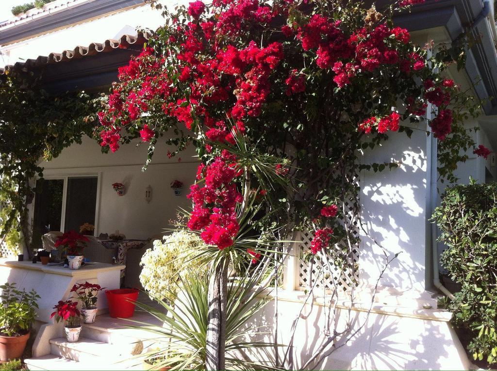 Dominion Apartments Estepona Kültér fotó
